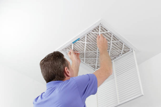 Best Professional Duct Cleaning Services  in Nitro, WV